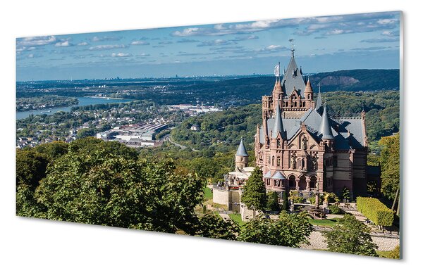 Obraz na szkle Niemcy Panorama miasto zamek