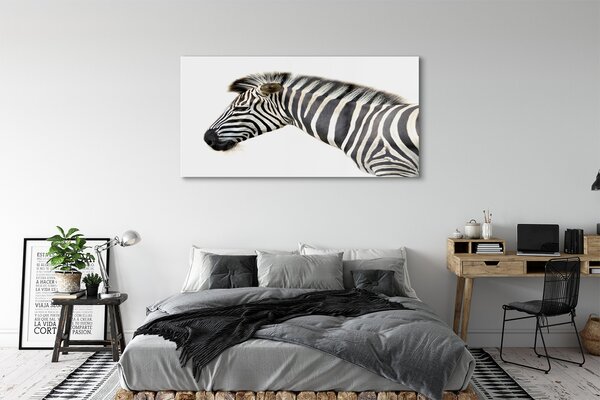Obraz na szkle Zebra