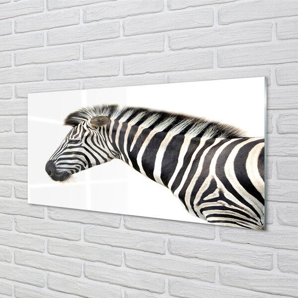 Obraz na szkle Zebra