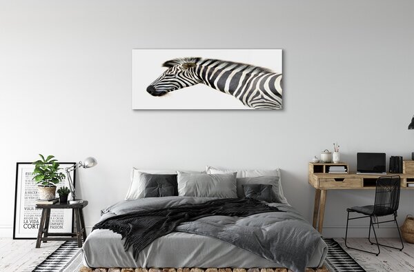 Obraz na szkle Zebra
