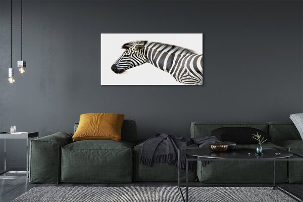 Obraz na szkle Zebra