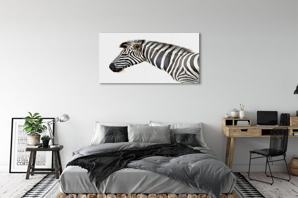 Obraz na szkle Zebra