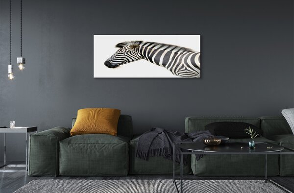 Obraz na szkle Zebra