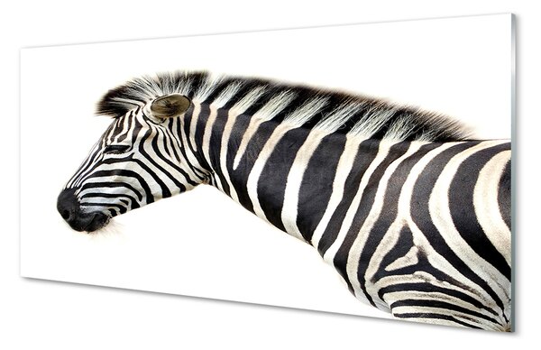 Obraz na szkle Zebra