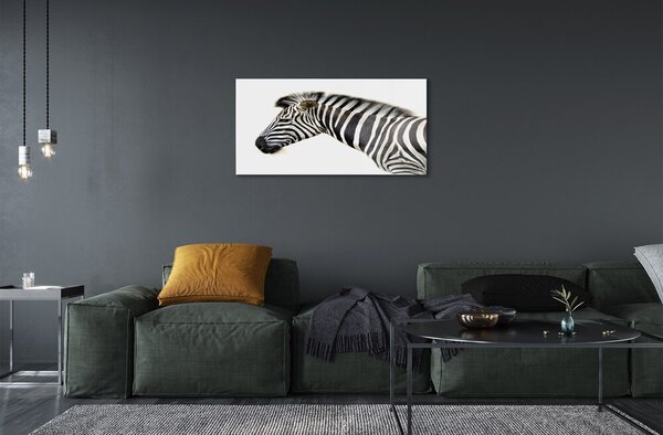 Obraz na szkle Zebra