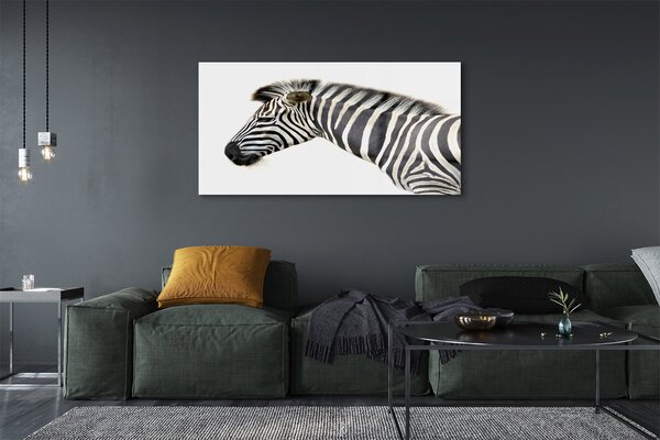 Obraz na szkle Zebra