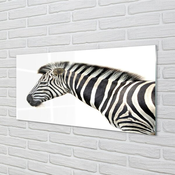 Obraz na szkle Zebra
