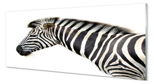 Obraz na szkle Zebra