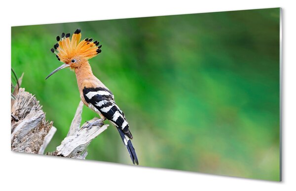 Obraz na szkle Drzewo kolorowa papuga