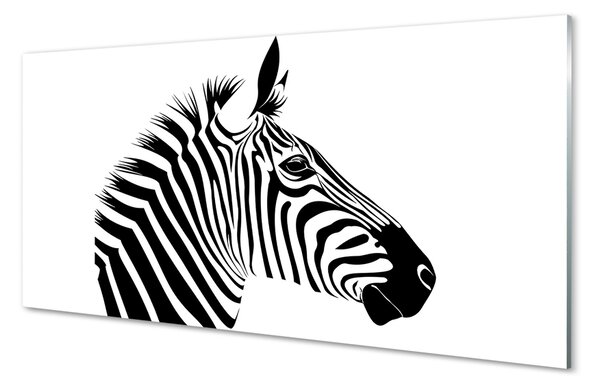 Obraz na szkle Ilustracja zebry