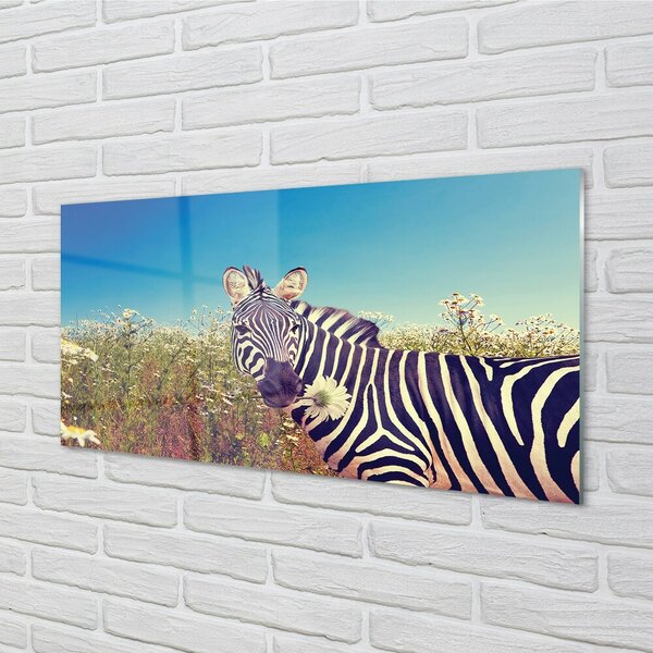 Obraz na szkle Zebra kwiaty