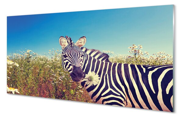 Obraz na szkle Zebra kwiaty