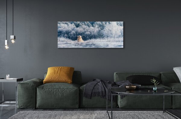 Obraz na szkle Pies góry zima