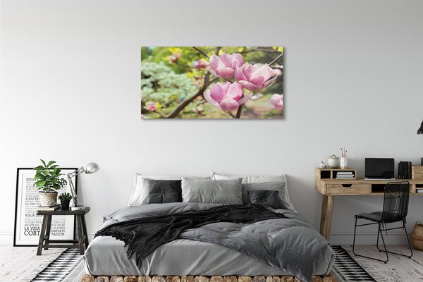 Obraz na szkle Magnolia drzewa