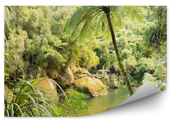 Las tropikalny jeziorko palmy Okleina ścienna las tropikalny jeziorko palmy
