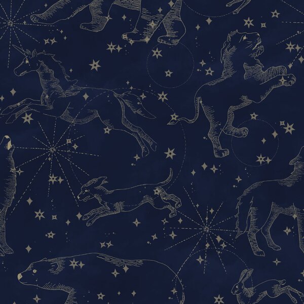 Tapeta do pokoju dla dziecka Constellations Dark