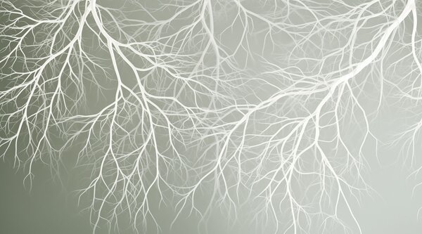 Fototapeta Białe gałęzie na szarym tle, Fototapety Natura, Popularne Fototapety, w03731 - Tapeko.pl