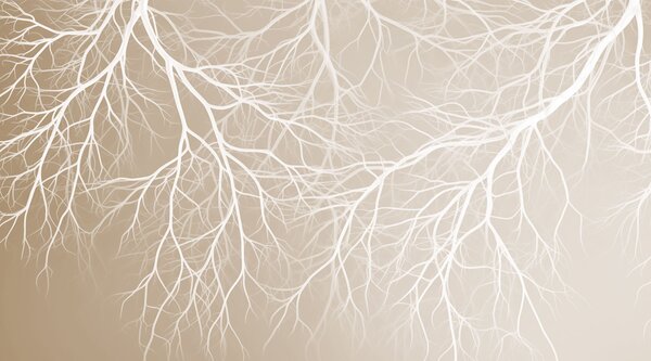 Fototapeta Białe gałęzie na beżowym tle, Fototapety Natura, Popularne Fototapety, w03731v1 - Tapeko.pl