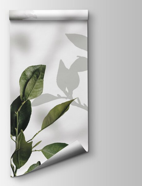 Fototapeta Zbiór liści i gałęzi, Fototapety Natura, Popularne Fototapety, w03910v1 - Tapeko.pl