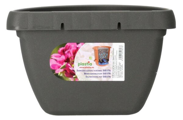 Plastia Siesta Doniczka samonawadniająca na ścianę, 29 cm szary
