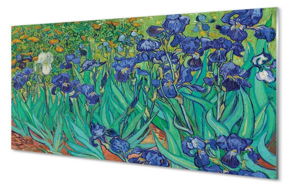 Obraz na szkle Irysy - Vincent van Gogh