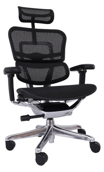 Ergonomiczny fotel biurowy Ergohuman Elite 2 BS Black - czarny nowoczesny fotel siatkowy