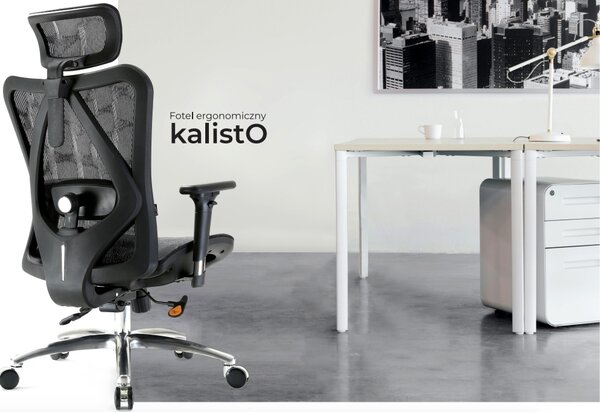 Ergonomiczny fotel biurowy Kalisto, zgodny z normą BHP