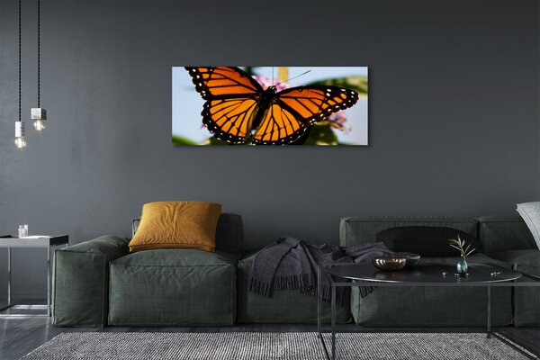 Fotoobraz na płótnie Kolorowy Motyl