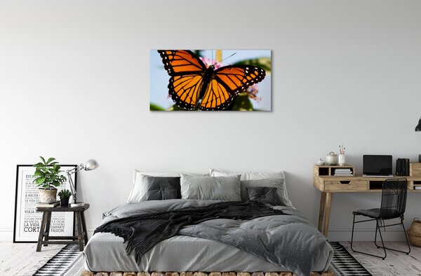 Fotoobraz na płótnie Kolorowy Motyl