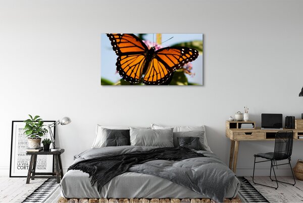 Fotoobraz na płótnie Kolorowy Motyl