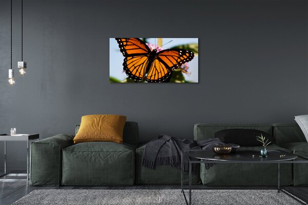 Fotoobraz na płótnie Kolorowy Motyl