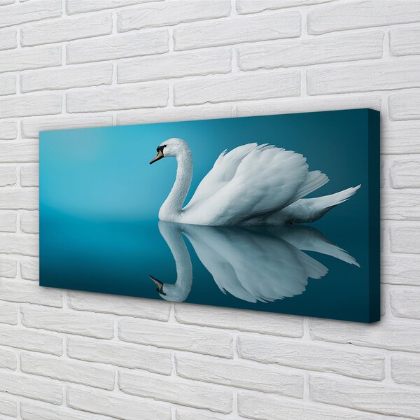 Obraz canvas na ścianę Łabędź na Tafli Wody