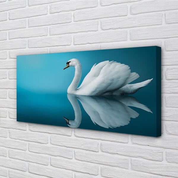 Obraz canvas na ścianę Łabędź na Tafli Wody