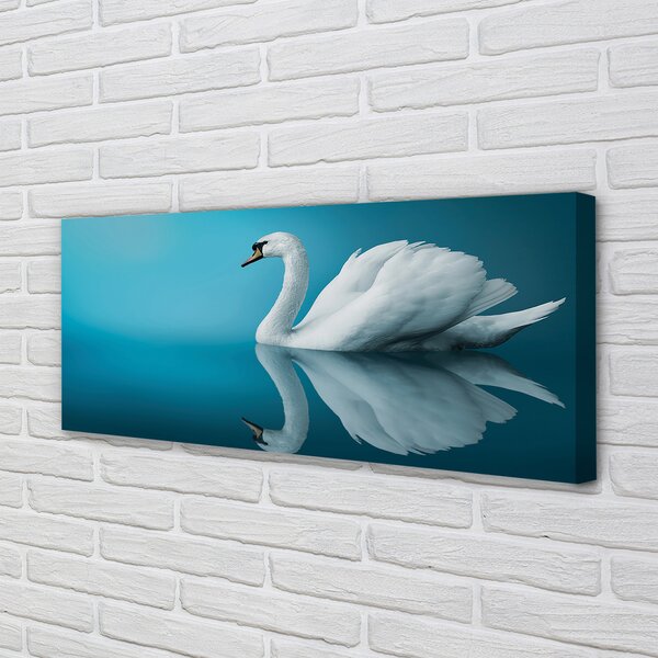 Obraz canvas na ścianę Łabędź na Tafli Wody