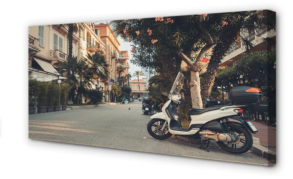 Duży obraz na płótnie Motocykle w Tropikalnym Mieście