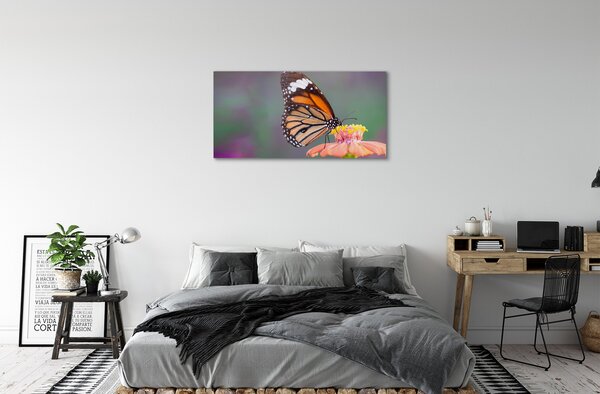 Duży obraz na płótnie Motyl na Kwiecie
