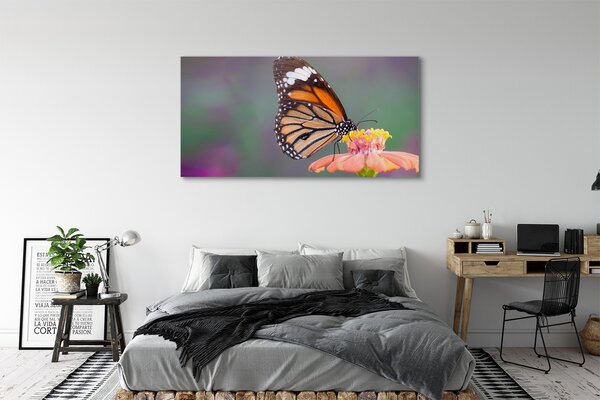 Duży obraz na płótnie Motyl na Kwiecie