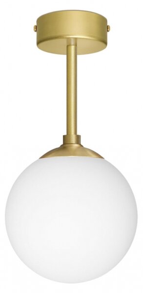 Krótka sufitowa lampa z kloszem kulą GP-S1B