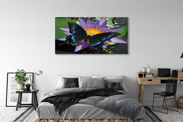 Obraz canvas na ścianę Kwiat z Motylem