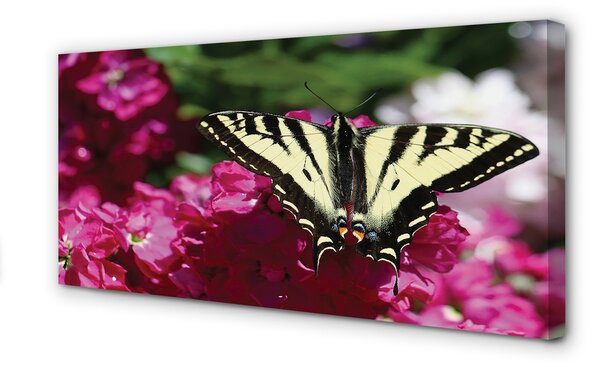 Obraz canvas na ścianę Kwiaty i Motyl
