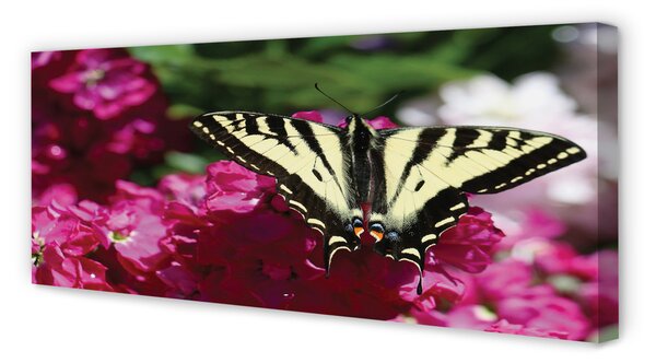 Obraz canvas na ścianę Kwiaty i Motyl