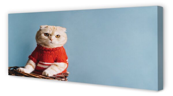 Fotoobraz na płótnie Portret Siedzącego Kota