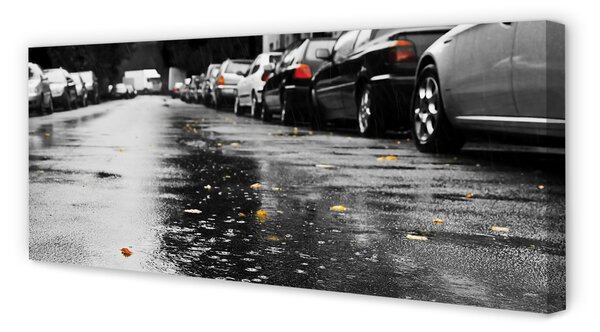 Zdjęcie na płótnie Samochód na Jesiennej Drodze