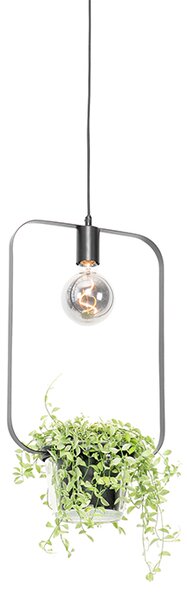 Nowoczesna lampa wisząca czarna ze szkłem prostokątna - Roslini Oswietlenie wewnetrzne
