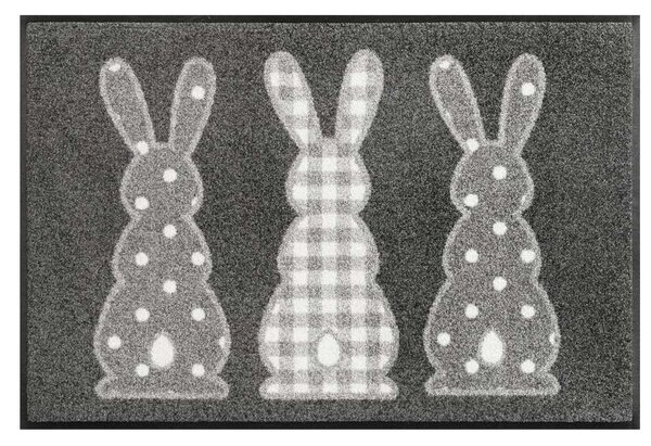 Wycieraczka Bunny Trio 50x75 cm