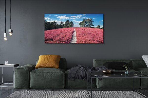 Obraz canvas na ścianę Pole Wrzosów i Las