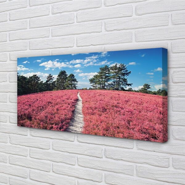 Obraz canvas na ścianę Pole Wrzosów i Las