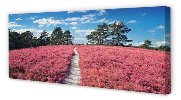 Obraz canvas na ścianę Pole Wrzosów i Las