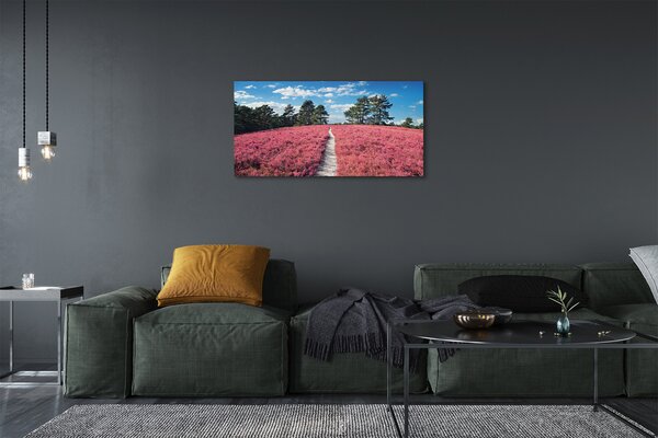 Obraz canvas na ścianę Pole Wrzosów i Las