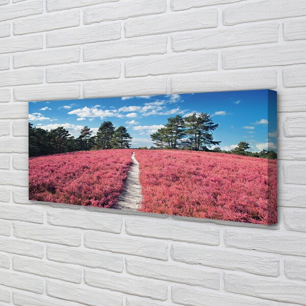 Obraz canvas na ścianę Pole Wrzosów i Las